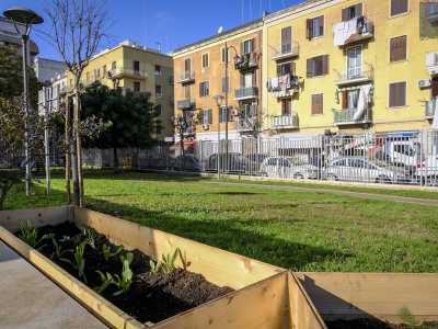 Tra le iniziative dei giovani c�� stata la creazione di un orto urbano all�interno del giardino Mimmo Bucci...